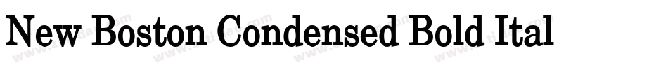 New Boston Condensed Bold Italic字体转换